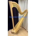 Harp Rental - Salvi Daphne 47SE